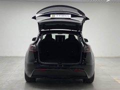 Tesla Model Y Performance All-Wheel Drive - ფოტო 10