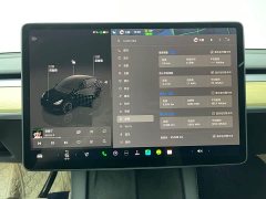 Tesla Model Y Performance All-Wheel Drive - ფოტო 11