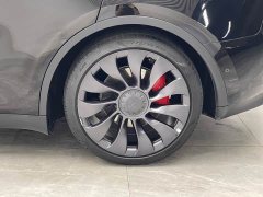 Tesla Model Y Performance All-Wheel Drive - ფოტო 19