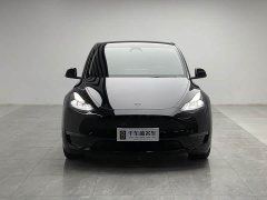 Tesla Model Y Performance All-Wheel Drive - ფოტო 2