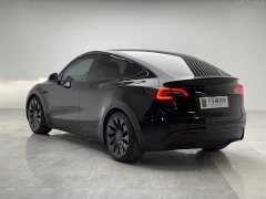 Tesla Model Y Performance All-Wheel Drive - ფოტო 4