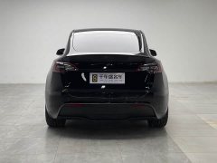Tesla Model Y Performance All-Wheel Drive - ფოტო 5