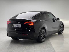 Tesla Model Y Performance All-Wheel Drive - ფოტო 6