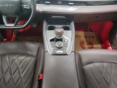 Chery Tiggo 8 PRO 2022 290T Two-Wheel Drive Vast Edition 5-Seater - ფოტო 16