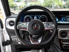 Mercedes-Benz G-Class 2023 G 500 - ფოტო 6