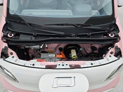 FAW Besturn Xiaoma 222km Dynamic Edition - photo 10