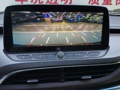 Buick GL8 Land Executive Cabin 652T Luxury - ფოტო 14