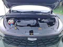 Geely Boyue 1.5TD Longteng Edition - ფოტო 10