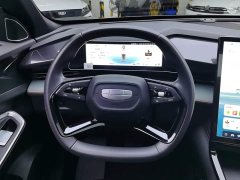 Geely Boyue 1.5TD Longteng Edition - ფოტო 15