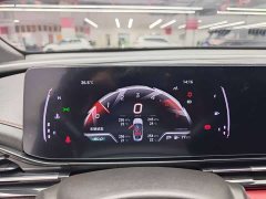 Trumpchi Leopard 2021 270T DCT J11 - ფოტო 6