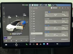 Tesla Model 3 Rear-Wheel Drive - ფოტო 10