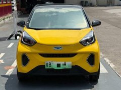BYD Ant 150,000 Ant Fans Edition Ant Tide Version Ternary Lithium - ფოტო 2