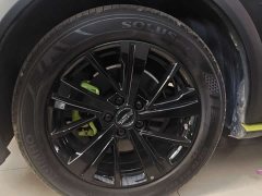 Haval Chitu Jiqing Edition 1.5T Golden Rabbit - ფოტო 11