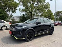 Haval Chitu Jiqing Edition 1.5T Golden Rabbit - ფოტო 3