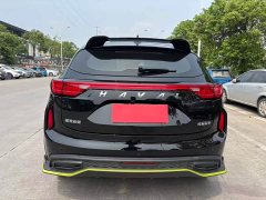 Haval Chitu Jiqing Edition 1.5T Golden Rabbit - ფოტო 8