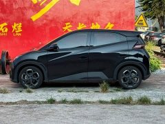 BYD Seagull Glory Edition 405km Flying Edition - ფოტო 7