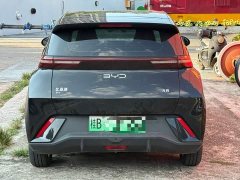 BYD Seagull Glory Edition 405km Flying Edition - ფოტო 8