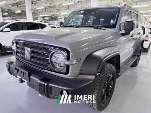 2022 Tank 300 2021 Off-Road Edition 2.0T Conqueror - ავტომობილი ჩინეთიდან