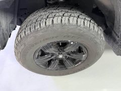 Tank 300 2021 Off-Road Edition 2.0T Conqueror - ფოტო 7