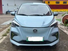 Changan Benben E-Star Shangxin Edition Multi-Color LFP Battery - ფოტო 2
