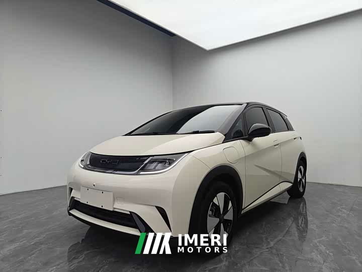 BYD Dolphin Glory Edition 420km Freedom Version