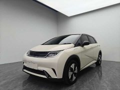 BYD Dolphin Glory Edition 420km Freedom Version - ფოტო 1