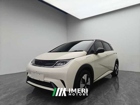 2024 BYD Dolphin Glory Edition 420km Freedom Version - ავტომობილი ჩინეთიდან
