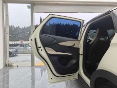 BYD Dolphin Glory Edition 420km Freedom Version - ფოტო 10