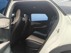 BYD Dolphin Glory Edition 420km Freedom Version - ფოტო 11