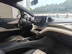 BYD Dolphin Glory Edition 420km Freedom Version - ფოტო 13
