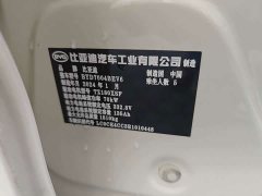 BYD Dolphin Glory Edition 420km Freedom Version - ფოტო 15