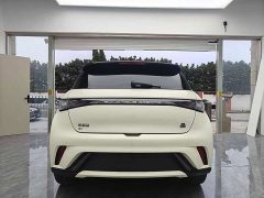BYD Dolphin Glory Edition 420km Freedom Version - ფოტო 4