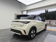 BYD Dolphin Glory Edition 420km Freedom Version - ფოტო 5