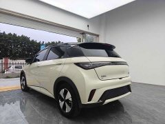 BYD Dolphin Glory Edition 420km Freedom Version - ფოტო 6