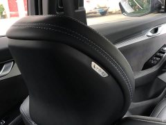Geely Xingui Xingrui Oriental Radiance 2.0T Diesel Moonlight Edition - ფოტო 11