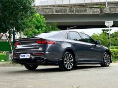 Geely Xingui Xingrui Oriental Radiance 2.0T Diesel Moonlight Edition - ფოტო 7