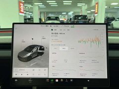 Tesla Model Y Rear-Wheel Drive - ფოტო 6