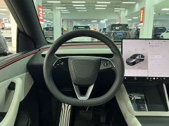 Tesla Model Y Rear-Wheel Drive - ფოტო 9