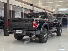 Ford F-150 Raptor 3.5T Raptor - ფოტო 11