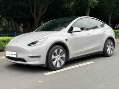 Tesla Model Y Standard Range RWD - ფოტო 1