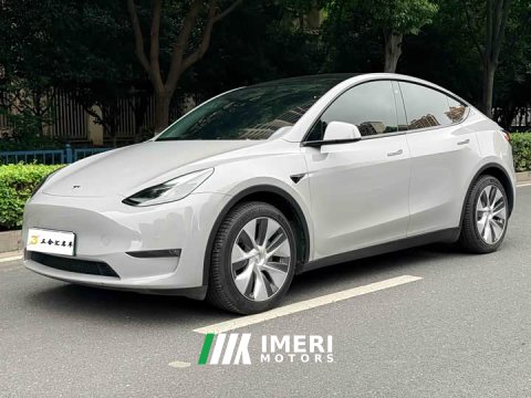 2021 Tesla Model Y Standard Range RWD - автомобиль из Китая