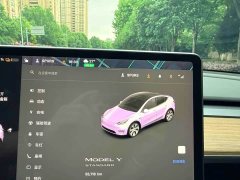 Tesla Model Y Standard Range RWD - ფოტო 18