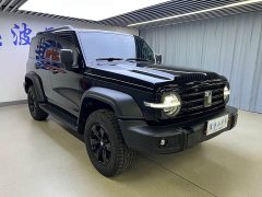 Tank 300 Off-Road Edition 2.0T Conqueror - ფოტო 3
