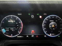 Tank 300 Off-Road Edition 2.0T Conqueror - ფოტო 6