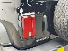Tank 300 2025 2.0T Gasoline Conqueror - ფოტო 17