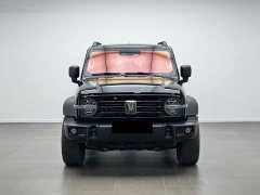 Tank 300 2025 2.0T Gasoline Conqueror - ფოტო 2