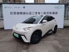 BYD Seagull 2025 305km Vitality Edition - ფოტო 1