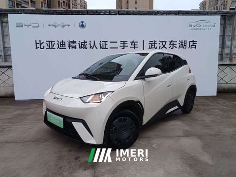2024 BYD Seagull 2025 305km Vitality Edition - ავტომობილი ჩინეთიდან