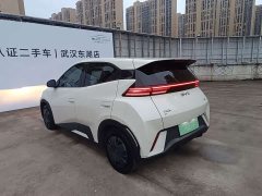 BYD Seagull 2025 305km Vitality Edition - ფოტო 18