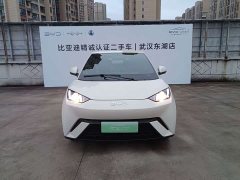 BYD Seagull 2025 305km Vitality Edition - ფოტო 2